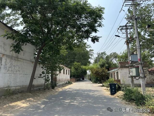 冠县乡韵·柳林镇三里屯村