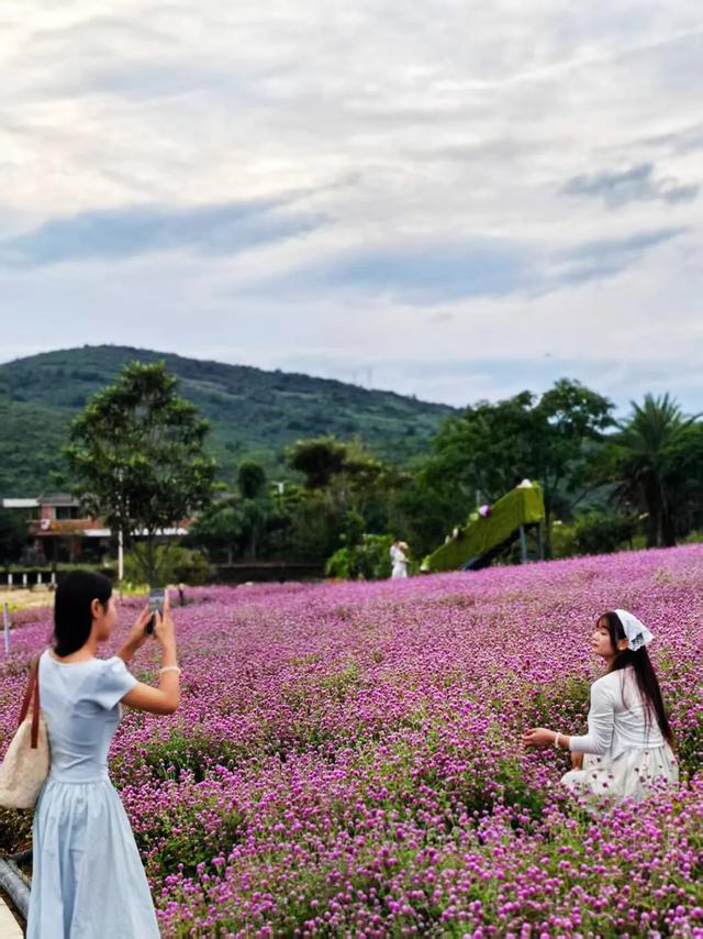 桂林：漓畔花海莲花源！