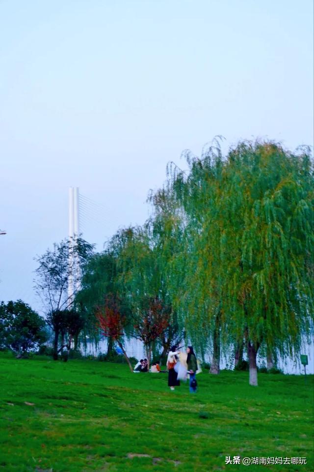 0.5H直达长株潭私藏“小白洋淀”，荻花摇曳处解锁老船厂遛娃秘境！