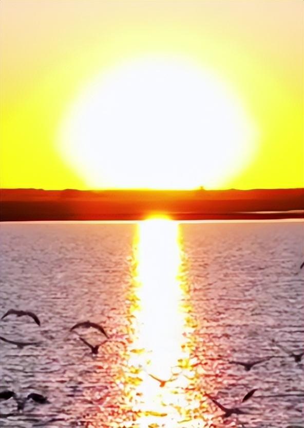 【支援合作 共谋发展】氛围感拉满！扎赉特旗图牧吉秋日湿地，百鸟翩跹入画来~