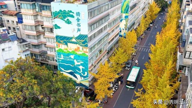 飞阅五华•“杏”运来袭|“云”上赏杏，快来Pick你最心动的“杏”运时刻