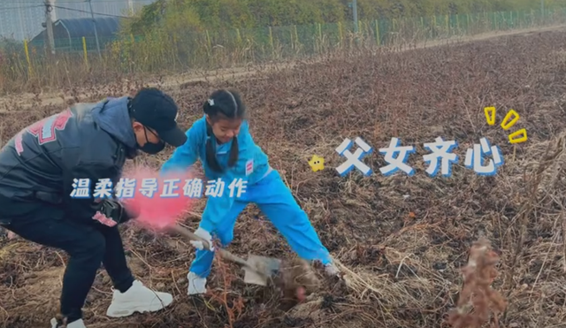 汪峰不装了！森林北生病，他却带着女儿地里挖白菜，章子怡躺赢了