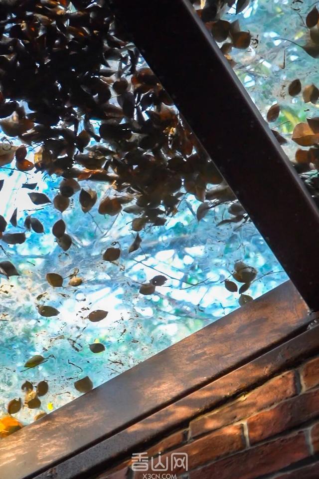 珠海5000年沙丘遗址秘境，免费开放！