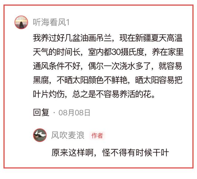 敢不敢来参加头条园艺pk赛