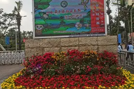 说说含“五”字的成语大世界图片