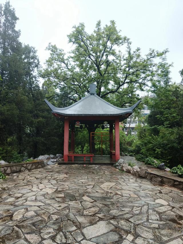 天津雨中的《红光公园》