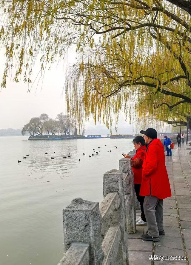 新华社原军事记者陶俊峰泉城美拍：《冬雾中的大明湖》