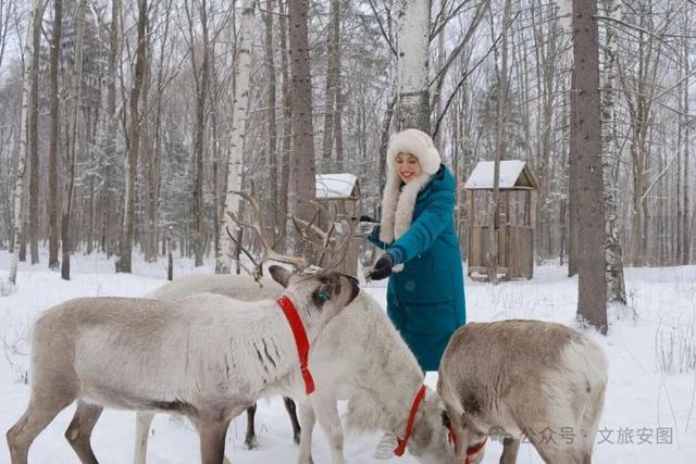 喂，去安图玩雪吗？这份“撒野”指南我已经给你整理好了！