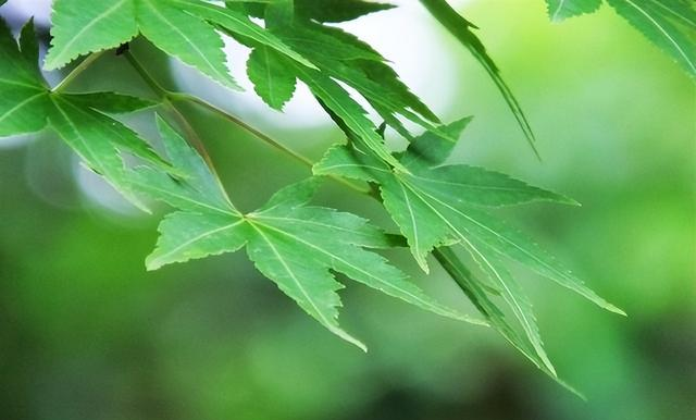 富养自己，其实是从五十岁开始的，可惜很多人不明白