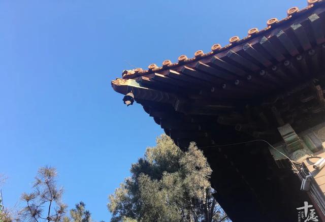 北京城居然还有这样一座“宝刹”带你了解“广济寺”的前世今生！