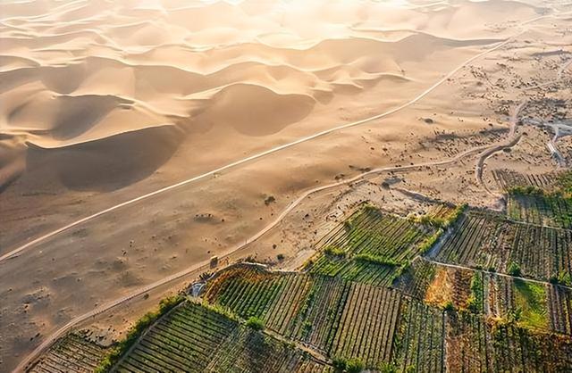 月薪8000留不住人，牧民靠万亩草场维生，新疆的上限下限超乎想象