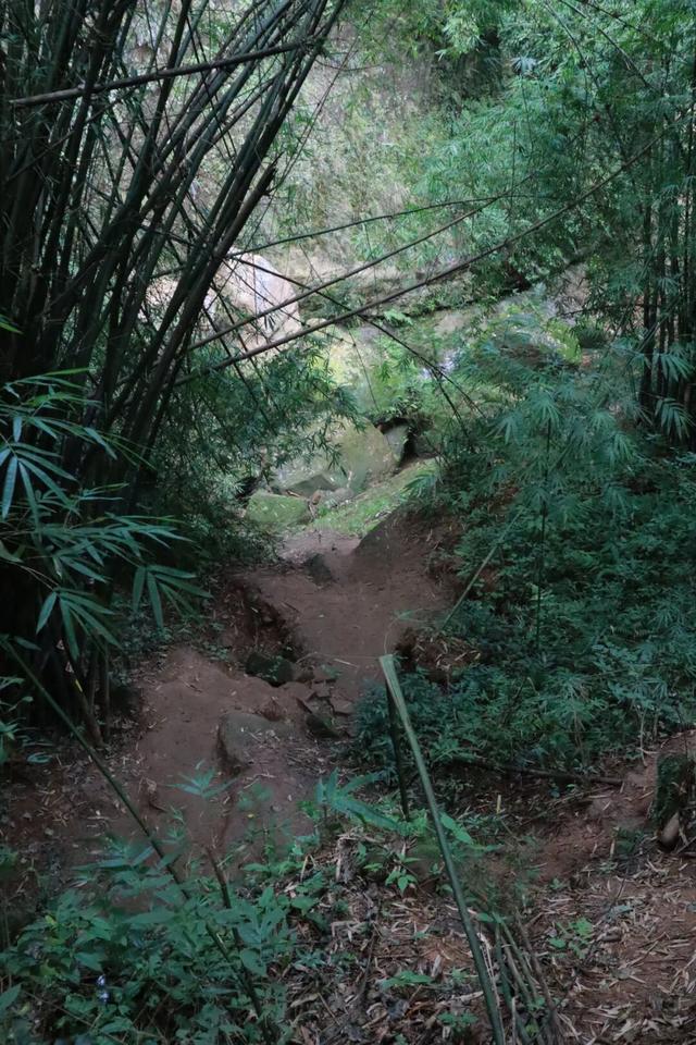 周末就冲！亲测3条被严重低估的徒步线，林海吸氧峡谷石窟！全部免费最快40min飙拢！