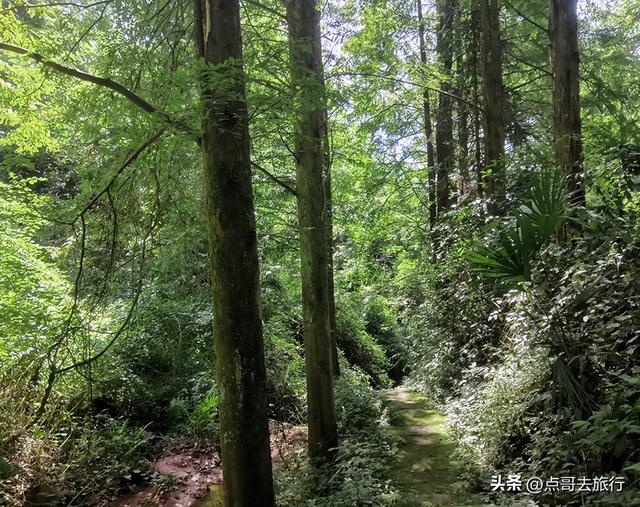 成都清凉景区秘境，最原始的古道观，像是无人知道一样，不要门票