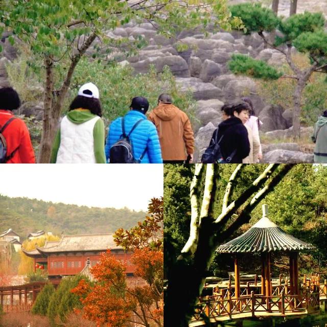 文旅临沂提醒！2026年免费、优惠福利来了！！