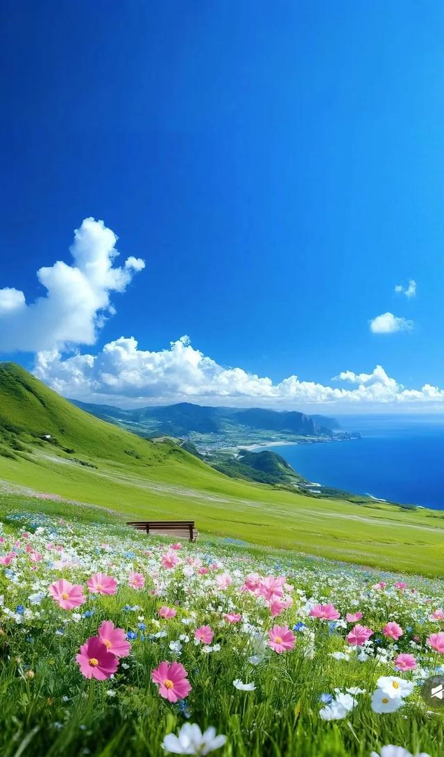 #碧水蓝天 #治愈糸风景 #感受大自然的气息和美景