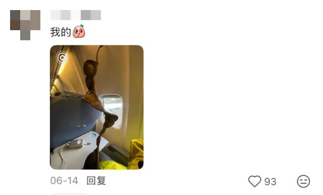 这可能是我买过的最离谱的特产: