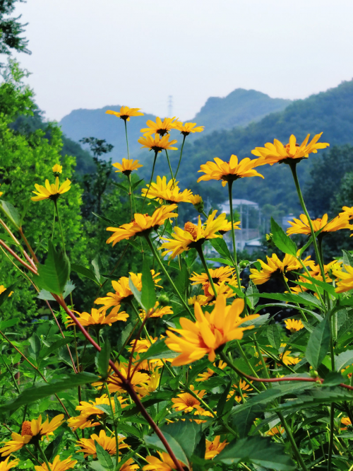 深山秘境里的桃源：香榭山庄，一场都市之外的灵魂栖居