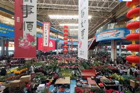 年宵花销售火爆迎降价潮 郁金香成新晋顶流 电商包地包销源头直发价格比线下便宜6成图片