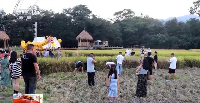 外国游客扎堆“宝藏景点”！深度游成新潮流，住得更久玩得更嗨