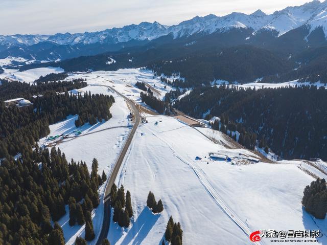 视觉·昌吉 | 银装素裹江布拉克 雪映松林绘冬图