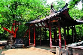 陪家父游千佛山图片