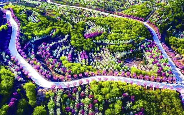 济南周边游|钢城区赏花地图上线啦，这三条旅游线路超有看头！
