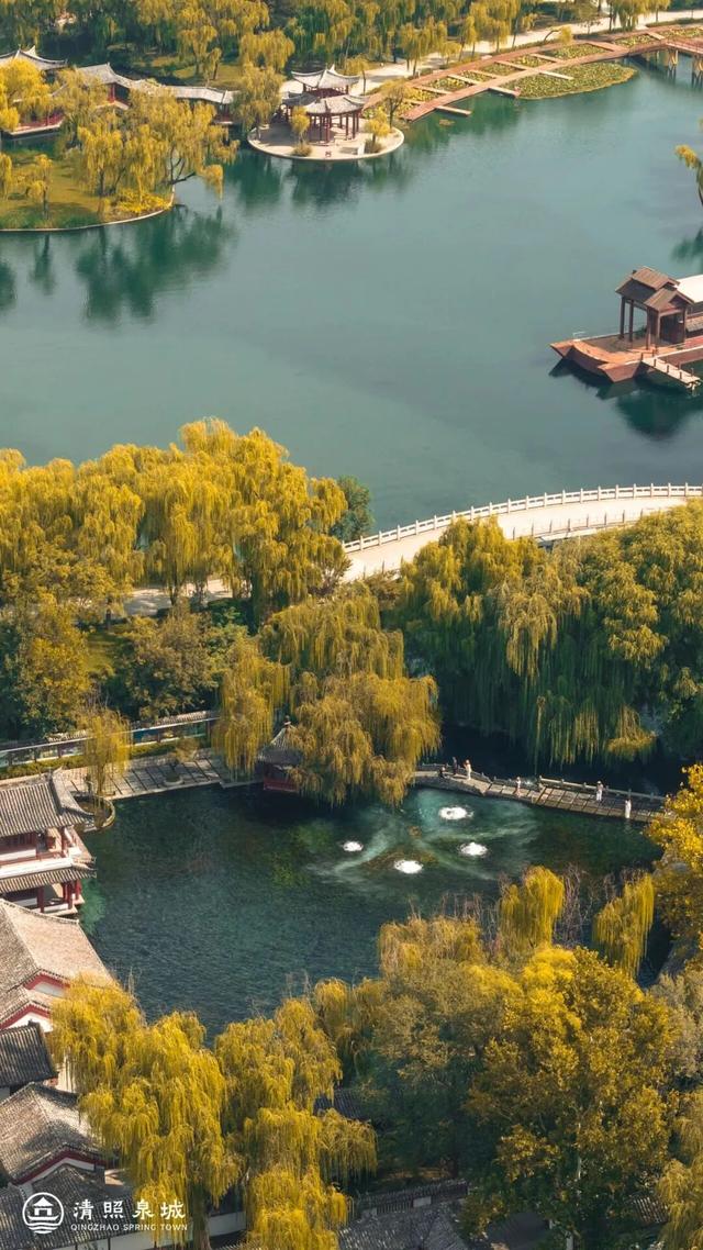 知否知否？应是山东小生！