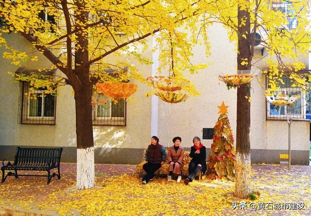 限时绝美!黄石街头进入颜值巅峰