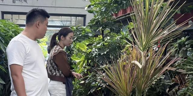 花花花！人人人！火火火！肥城这里简直不要太火爆了…