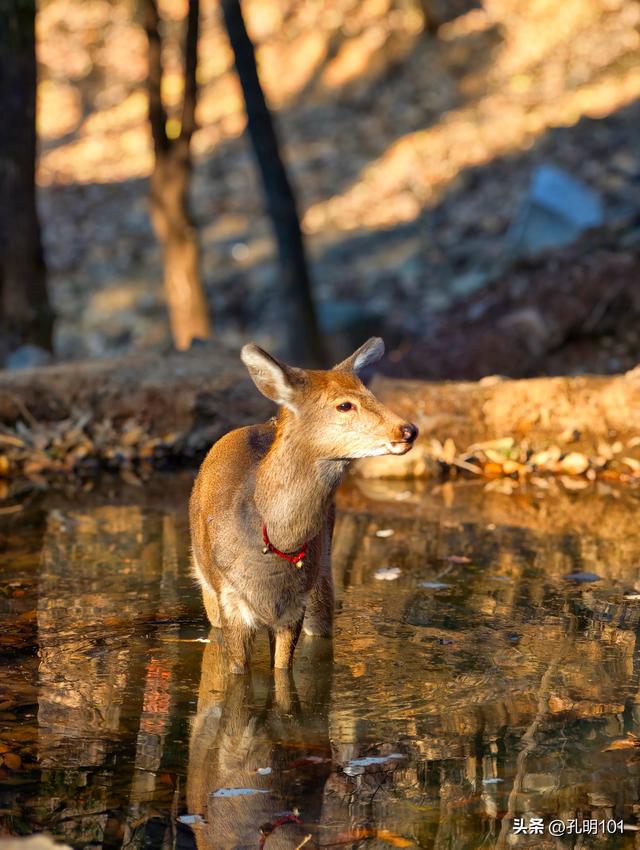 荒野水源～嵩山金壶峰探秘