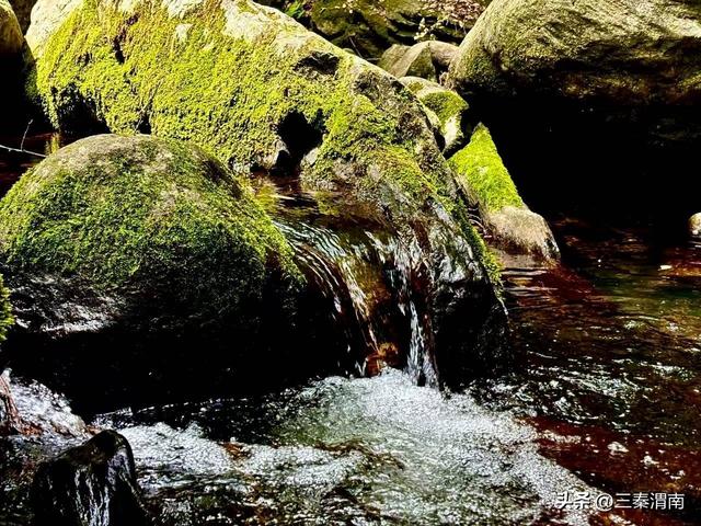 跟着美食畅游渭南：山水与美食交融的旅程 今夏难忘的清凉记忆