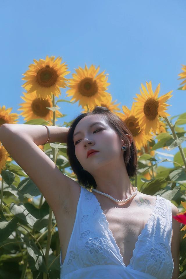🌻观山湖超小众向日葵花海 私藏0元打卡地