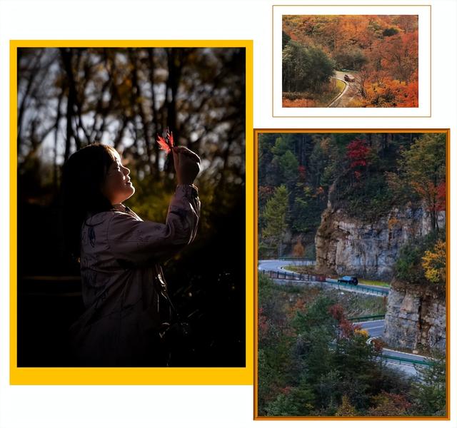 盐井峡红叶指数全省第二！这份专属赏秋攻略请查收