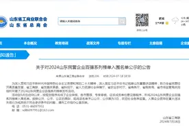2024年山东民营企业百强系列榜单发布，石横镇一家企业榜上有名图片