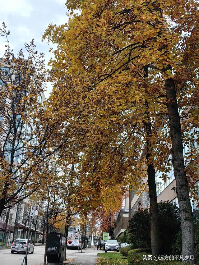 温哥华游记（三）