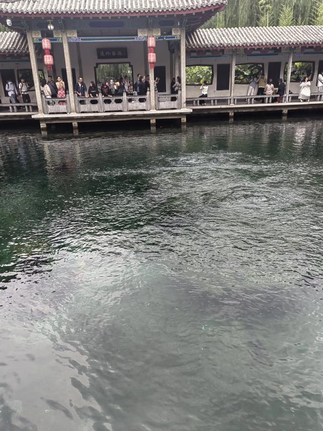 速游济南趵突泉后记