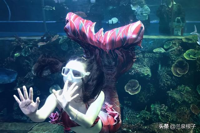 国宝百日庆·萌兽迎新年 兰州野生动物园邀您共赴自然之约