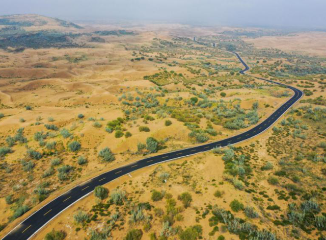 美媒：中国不可怕，可怕的是中国只用10万头猪	，就解决了治沙难题