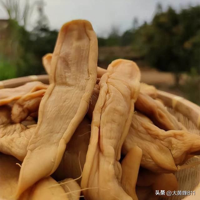 认识大美广东的每个县——第34波：揭西