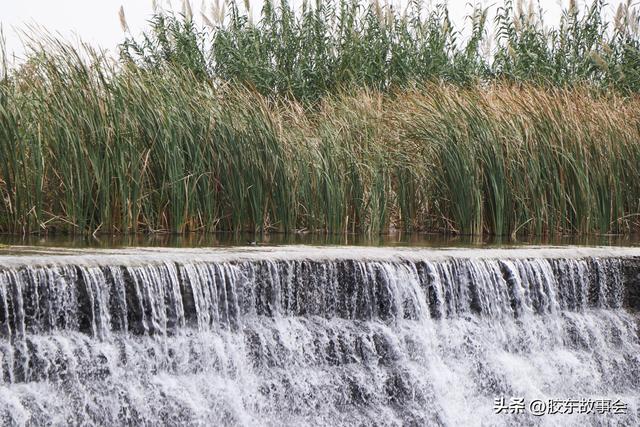 组图：牟平玉林店镇尺坎村掠影，河畔风光有特色，村里还有寿星