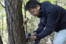 突然冒出！十堰人近期看到这种小红瓶，别乱动！图片