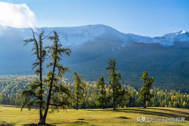 我的阿勒泰之旅(2)