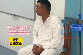 笑死！云南文山一男子吃菌子没有中毒，吃独食中毒，网友神评论图片