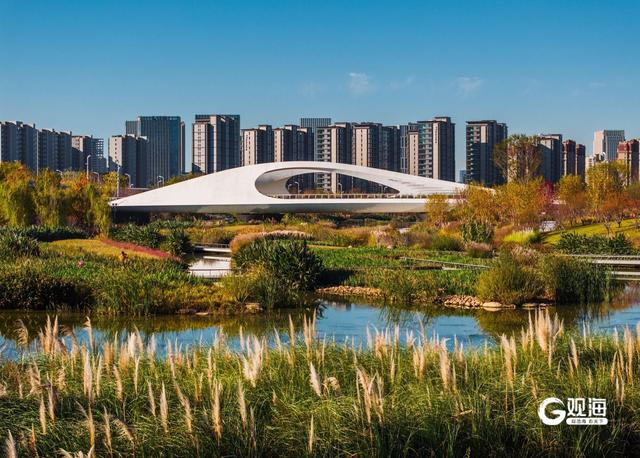 张村河生态绿廊成新晋宝藏休闲游玩地