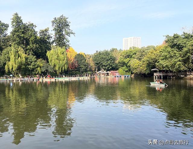 成都市中心最美银杏观赏地，这6处你去过吗？都不要门票！