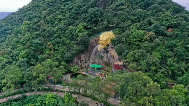 观音山的欢乐“不打烊”！错峰出游，欢乐加倍~