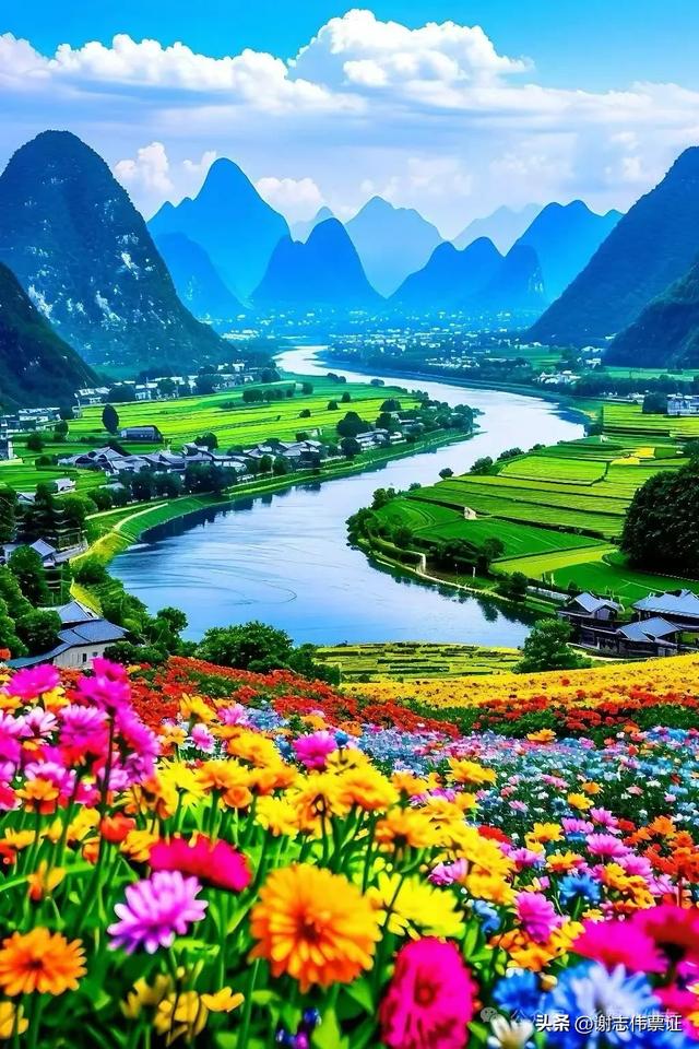 青山绿水，花海人间