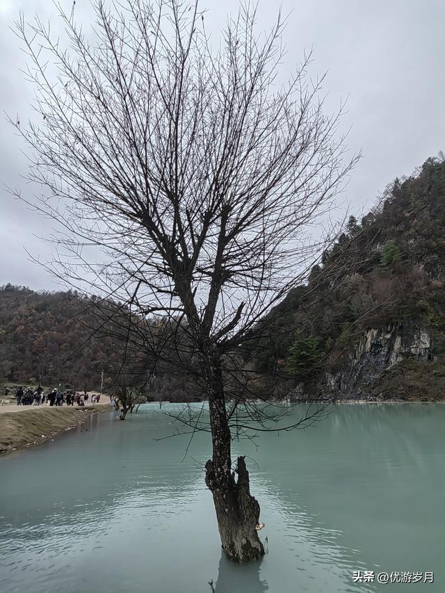 秦岭狮子沟牧场&牛奶湖