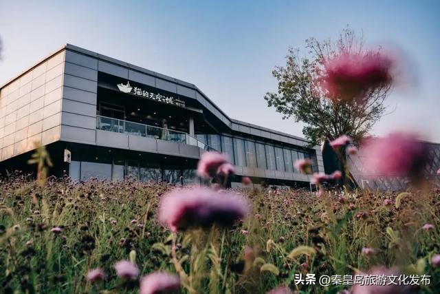 消费潜能激发：北戴河新区小众经济成增长引擎