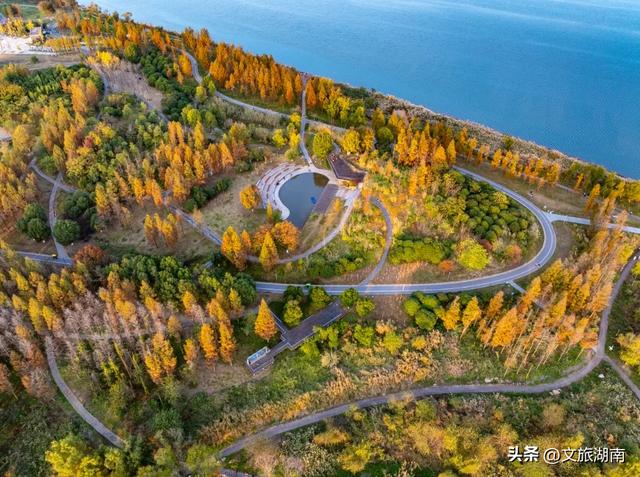 限时绝美!长沙初冬“顶流”上线